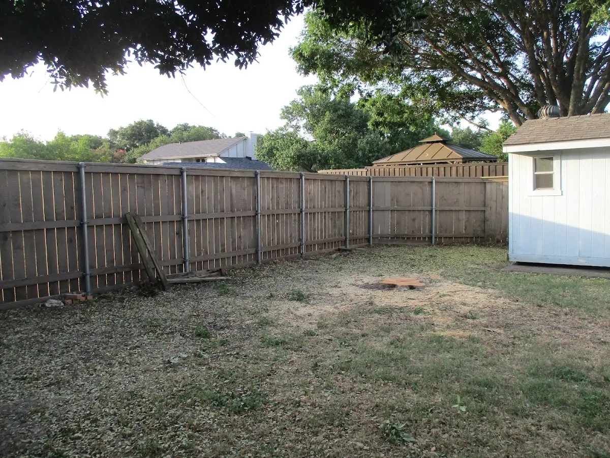 Cleared yard after professional tree removal in La Porte City