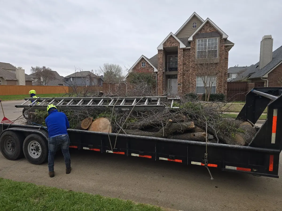 Expert Tree Removal with proper safety equipment in La Porte City